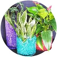 Гидрогель по доступной цене в магазине Флориум.