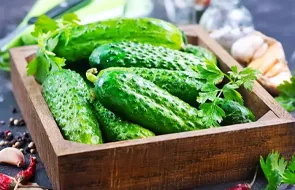 Семена огурцов 🥒 Купить