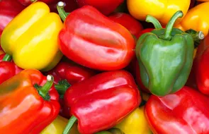 Семена перца 🌶 Купить