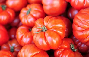 Семена помидор и томатов 🍅 Купить